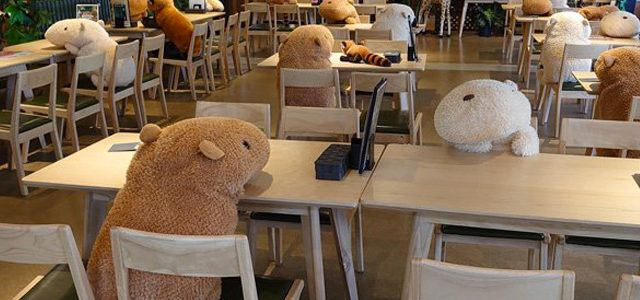 Japon : des peluches géantes dans un restaurant pour faire respecter la distanciation sociale