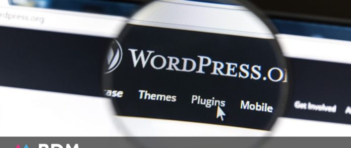 Parts de marché des CMS en 2021 : WordPress accentue sa domination