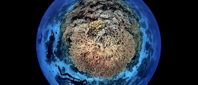 Blancpain affiche son soutien à la cause des océans