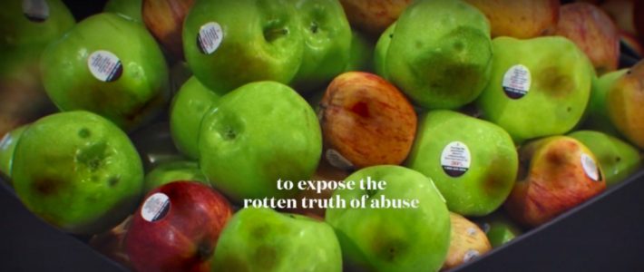 Des pommes meurtries pour lutter contre les violences conjugales