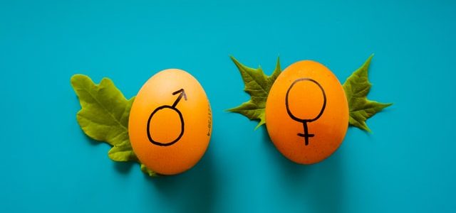 L’Ã©galitÃ© entre les sexes sur le lieu de travail, vers un rÃ©el changement ?