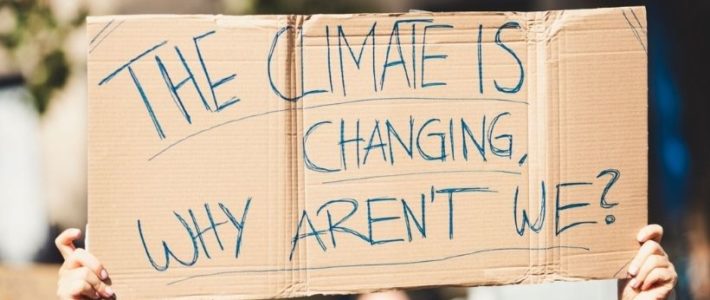 Scientifiques, magistrats, ingÃ©nieurs : les nouveaux militants du climat