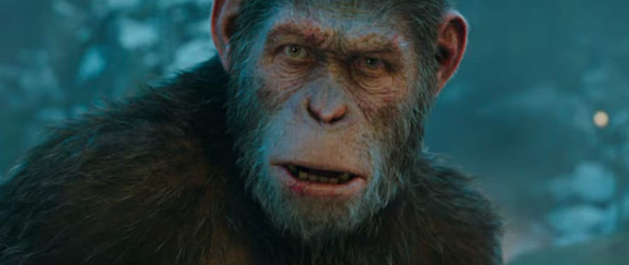 Un nouveau film « La Planète des singes » en préparation