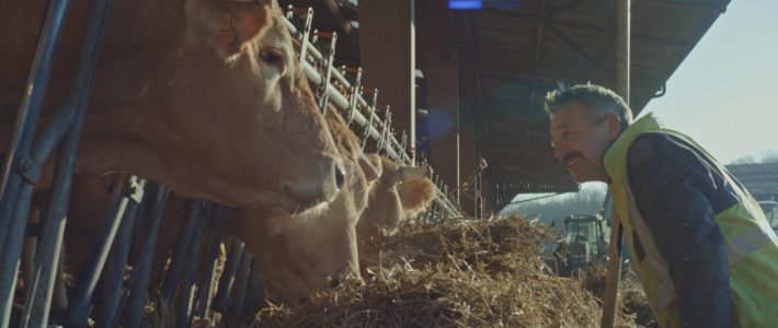 Oxfam donne à des vaches le nom de milliardaires français
