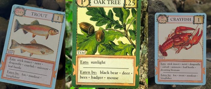 Un professeur crée des cartes à collectionner sur la nature